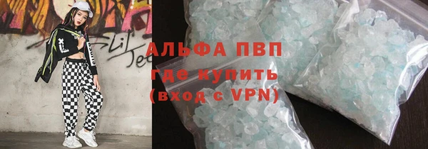 молекула духа Богданович