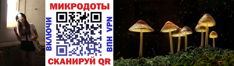 Галлюциногенные грибы Magic Shrooms  закладка  Малая Вишера 